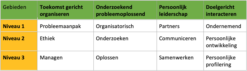 Figuur 6: HBO-i professionele vaardigheden